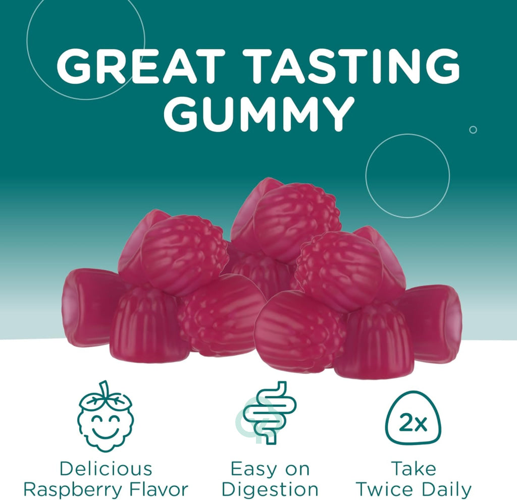 Magnesium Gummies Raspberry Flavor Sugar Free 60 Count